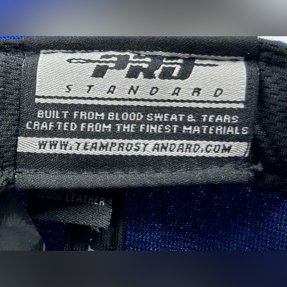 NEW Los Angeles Dodgers PRO STANDARD Roses 2020 World Series Champs Pink UV - Picture 14 of 14